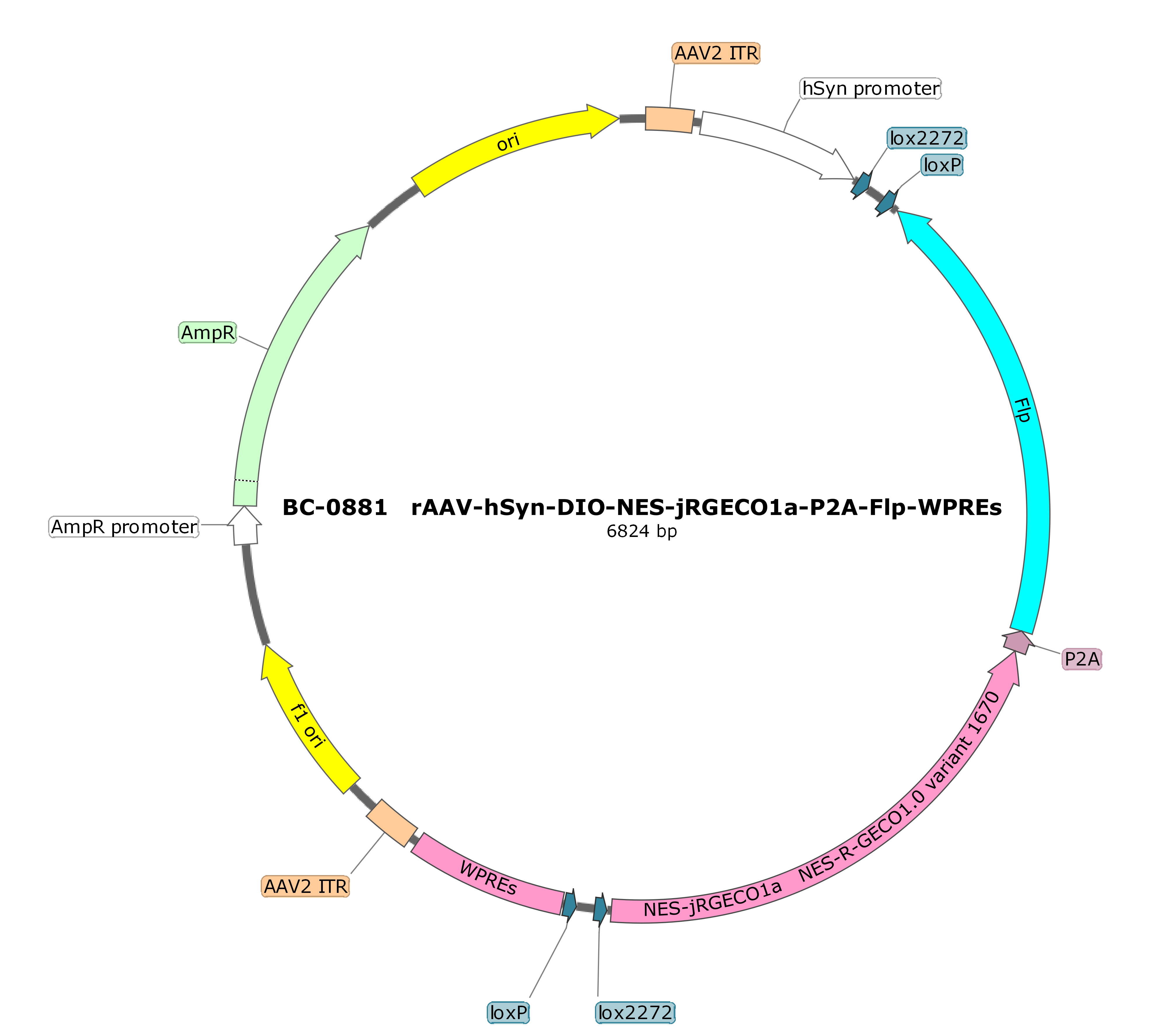 rAAV-hSyn-DIO-NES-jRGECO1a-P2A-Flp